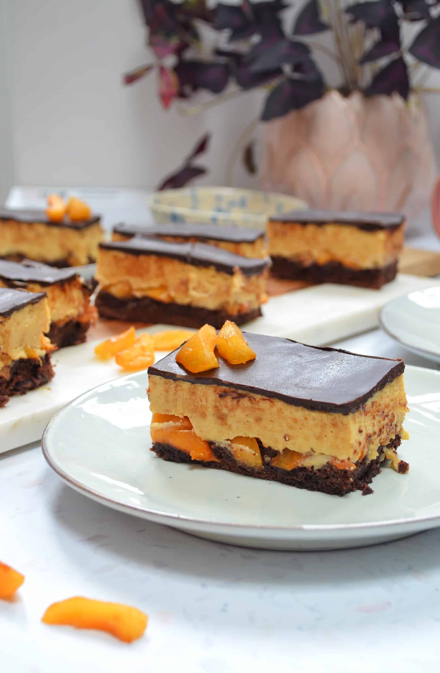 chocolate apricot mousse cake