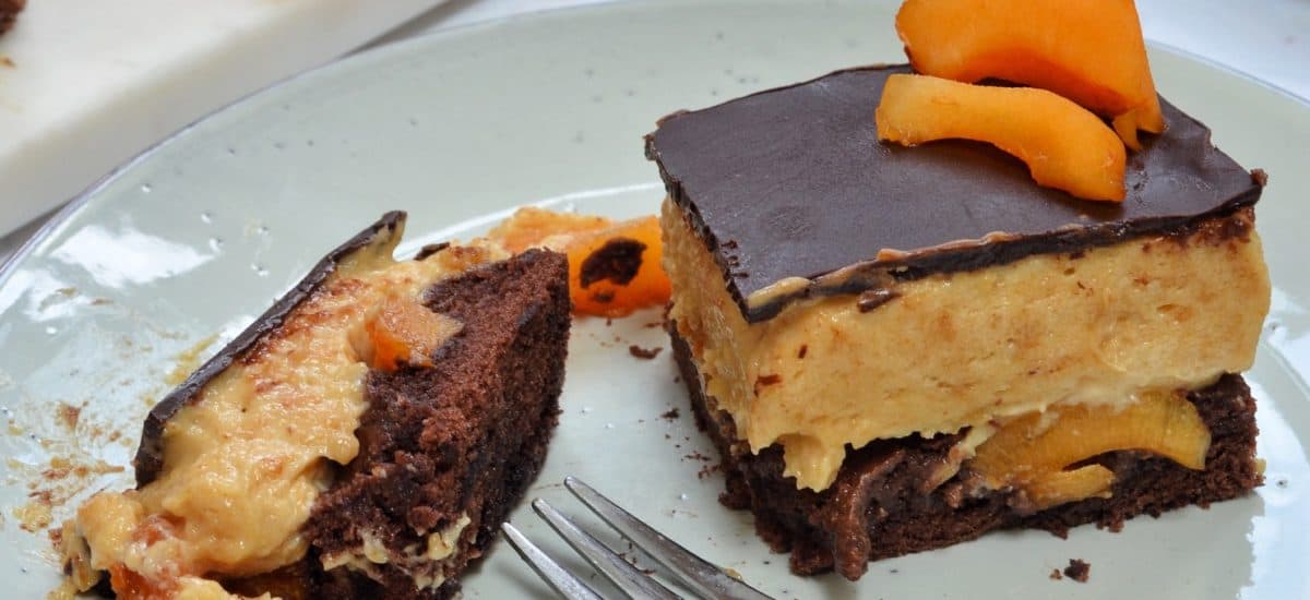 Chocolate Apricot Mousse Cake