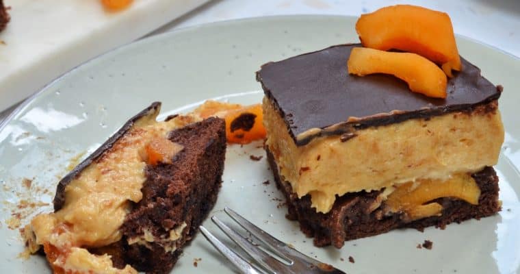 Chocolate Apricot Mousse Cake