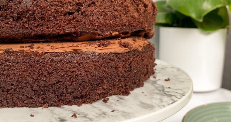Classic Easy Double Chocolate Cake