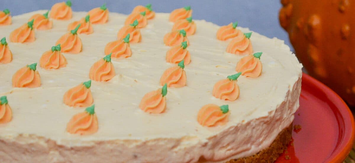 Vegan Easy No-Bake Pumpkin Cheesecake